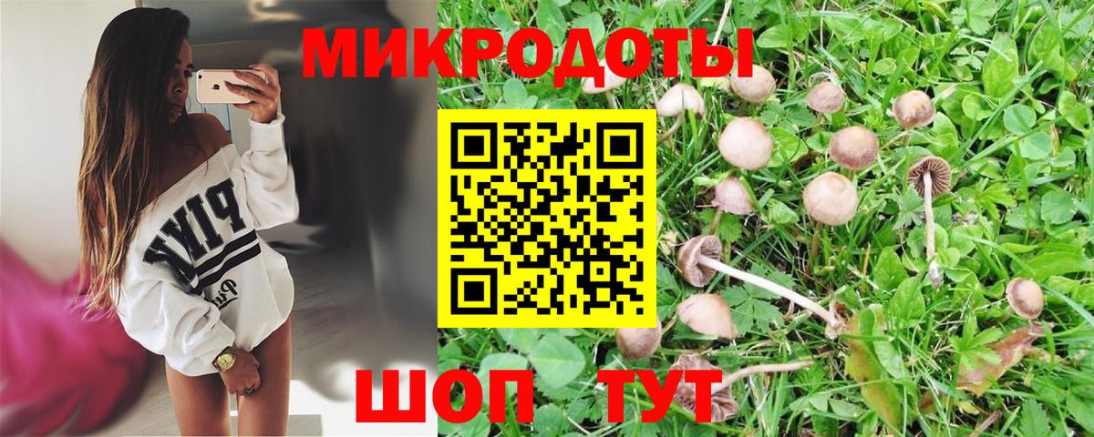 Видное  Галлюциногенные грибы ЛСД  купить наркотики цена  Псилоцибиновые грибы мухоморы  Вход с VPN 